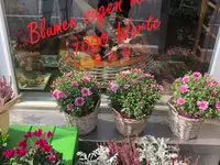 Blumengeschäft riedland.ch