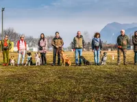 Società Cinofila Monte Generoso - Klicken Sie, um das Bild 7 in einer Lightbox vergrössert darzustellen