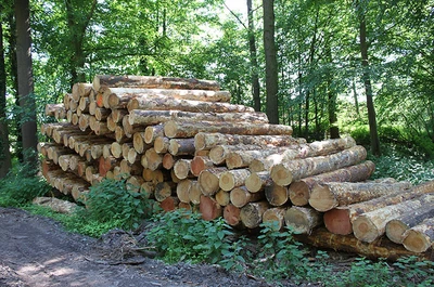 gestapeltes holz