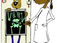 dr. Mazzi Michele