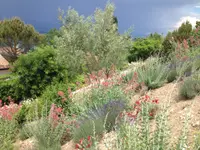 Royal Jardin sarl