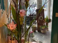 Aux Arcades fleurs