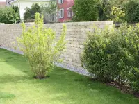 Schumacher Andi Gartenbau GmbH