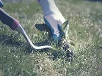 Grünecke Gartenunterhalt und Reinigungsservice GmbH - Klicken Sie, um das Bild 2 in einer Lightbox vergrössert darzustellen