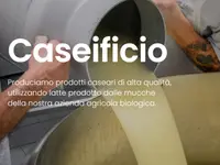Caseificio Töira