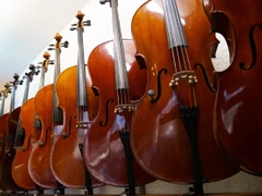 Karl Koch AG | Atelier für Geigen- und Gitarrenbau