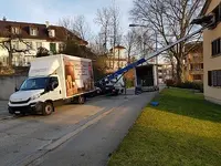 Umzug Profis Zug