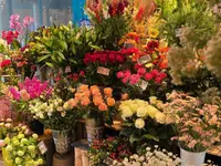 Aux Arcades fleurs