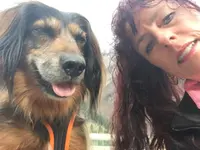 Hunde-Schule Manuela Albrecht