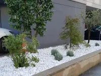 BaumGärtner - Giardini