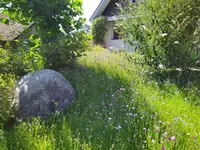 Chraftgrüen GmbH