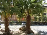 Thomas Gisi Gartenbau GmbH