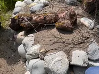 Gartencoach Dario Peyer