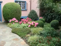 VITA VERDE AG