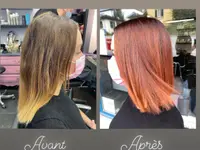 SD Coiffure
