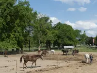 Manège et Poney Club de Presinge - Klicken Sie, um das Bild 6 in einer Lightbox vergrössert darzustellen