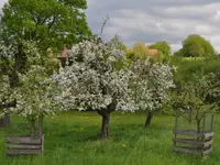 Bartlome Gartenbau und Unterhalt - Klicken Sie, um das Bild 6 in einer Lightbox vergrössert darzustellen