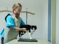 Tierarztpraxis Rösslimatte GmbH