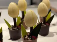 VK Chocolaterie Sàrl