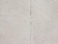 Muscianesi Dominique