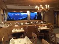 Hotel Bettmerhof