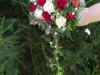 Blumen Jenni und Gärtnerei
