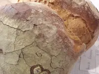 Hunger AG