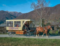 Scuderia Saliciolo - La Casa del Cavallo-Logo