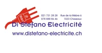 Di Stefano Electricité-Logo