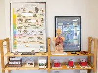 Ecole Montessori Meyrin
