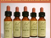 Farmacia Solari