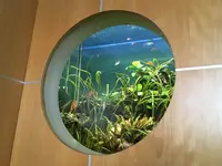 Aquarium-Bassin SARL