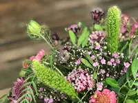 Vert'ige Fleurs