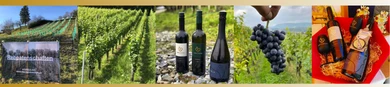 Weingut Oberli & Oechsle