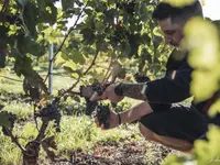 Domaine des Biolles