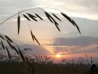 Künzi Bestattungsdienst GmbH - Klicken Sie, um das Bild 1 in einer Lightbox vergrössert darzustellen