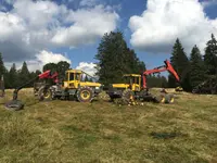Entreprise forestière Sauser SA