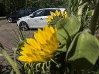 Hausgeister AG