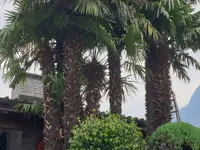 ELLEMME Giardini di Luca Maruca