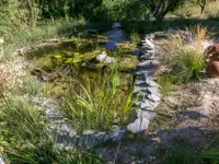 Nicolas Varidel Nature+Jardins