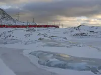 Cambrena