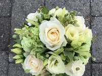 Blumen Weber