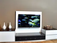 Manser Excellent audio vision