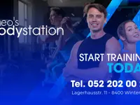 Theo's Bodystation