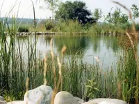 J.N. JARDINS NATURELS CHAVORNAY SA - Klicken Sie, um das Bild 14 in einer Lightbox vergrössert darzustellen