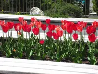 Albula Gartenbau GmbH
