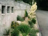 Thomas Gisi Gartenbau GmbH