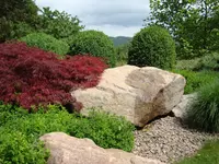 VITA VERDE AG