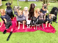 Nimalik Hundeschule & Hundepension