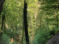 Guérisseur, Magnétiseur, Médium, Voyance, Jean-Claude Sellie, Energie Subtile